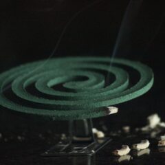 キャンプで欠かせない虫除け対策！刺されてしまった時の対処法も紹介